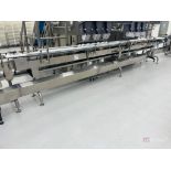 Pharma Packaging Systems Twin Conveyor System