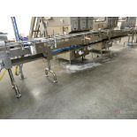 Pharma Packaging Systems Stainless Steel Twin Conveyor System