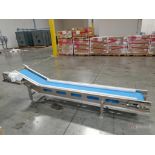 PPM Incline Belt Conveyor
