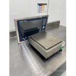 Mettler Toledo high precision bench scale