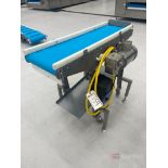 Automatic Belt Conveyor