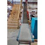 Bilt-Rite Motorized Incline Belt Conveyor