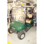 EX-GO Golf Cart