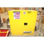 (2) Flammable Storage Cabinets