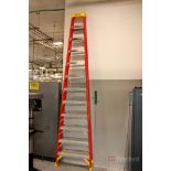 Werner Professional Fiberglass Ladder, 12 FT