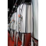 Stout 20-Bbl Jacketed Conical Fermenter Tank