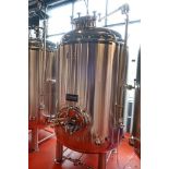 Stout 20-Bbl Jacketed Brite Beer Tank