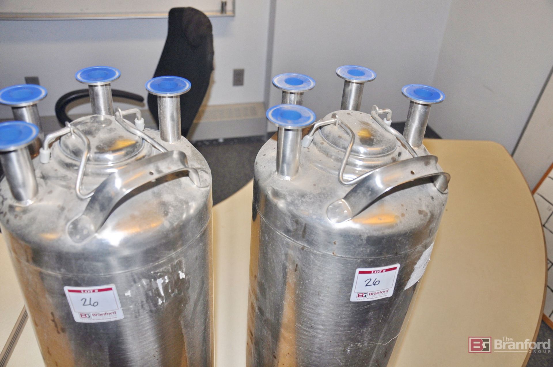 (2) Millipore 20L pressure tanks - Image 2 of 3