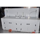 Dual Poly sink, w/ work space foot controllers & cabinets