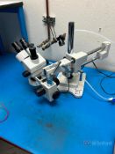 Amscope Stereozoom Microscope