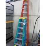 (2) Werner 6' A-Frame Fiberglass Ladders