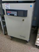 Thermo Scientific Model Hera Cell Bios 160I CO2 Incubator