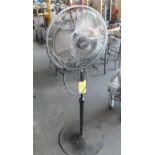 Lakewood 20" Pedestal Fan