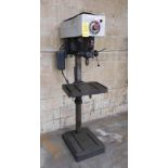 Delta Rockwell 17" Single Spindle Drill Press, Model 17-600, s/n 1695121, Variable Speed, 1 HP,