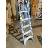(2) Werner 6' Fiberglass Step ladder