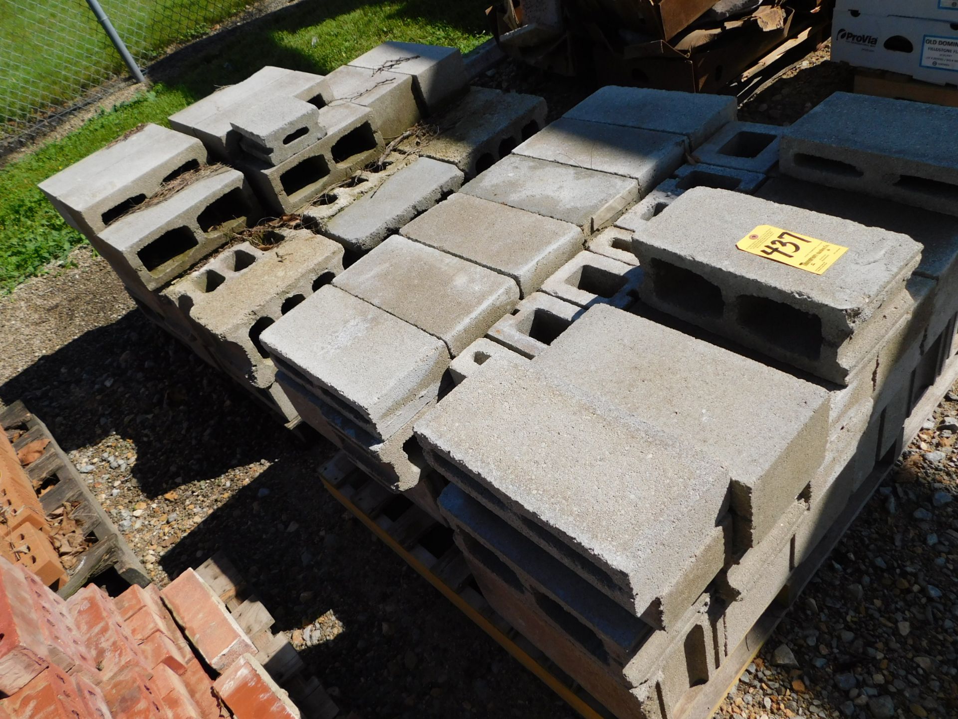 (2) Skids w/Concrete Blocks