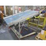 EMI Model EAF48-96-20 Portable Motorized Belt Conveyor, s/n 16-03140, 48" Wide X 96" Long, Vari-