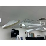 Steris Surgical Lighting System