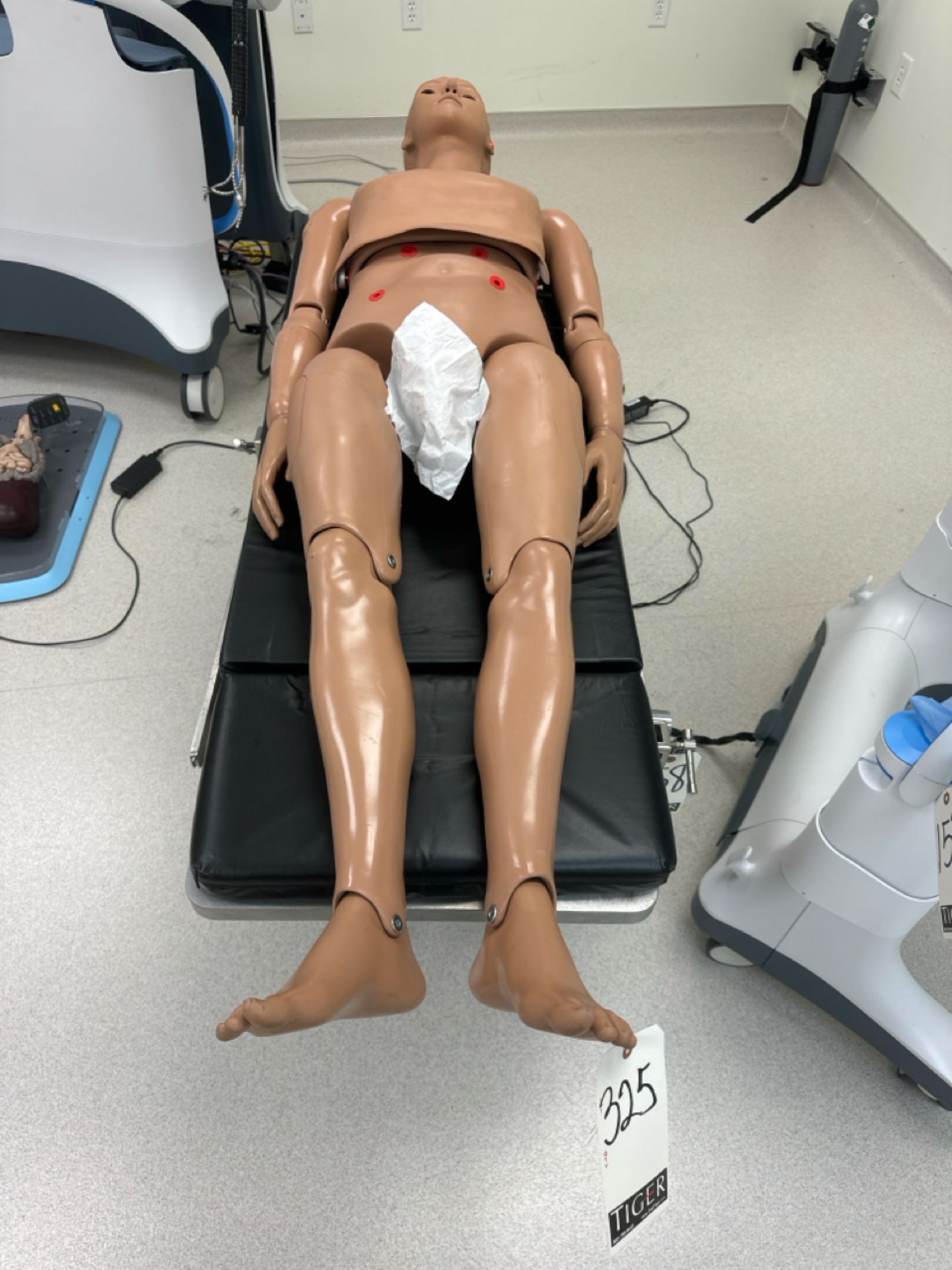 Universal Medical Human Mannequin - Image 2 of 6