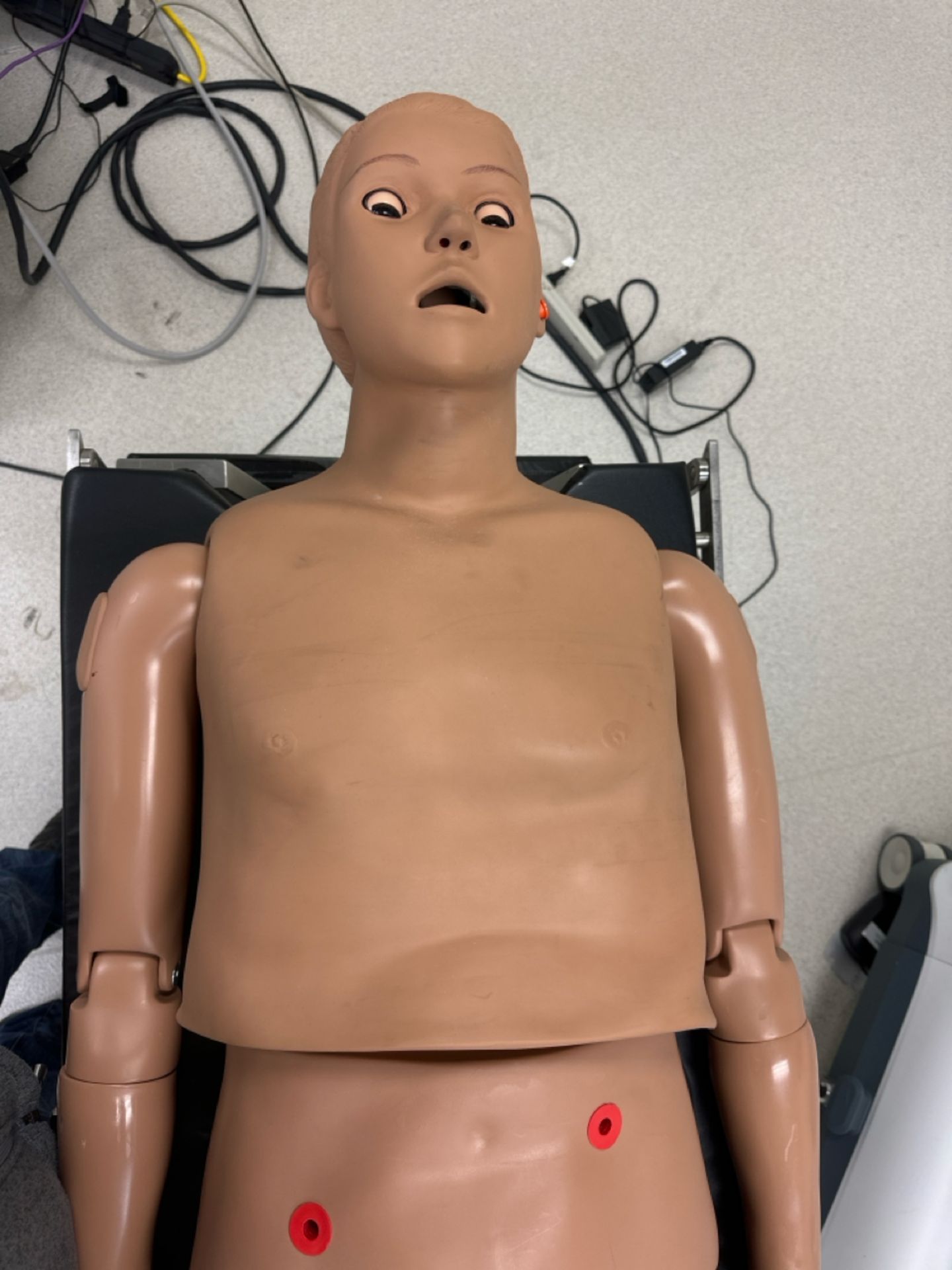 Universal Medical Human Mannequin - Image 3 of 6