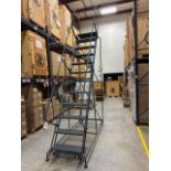 12-Step Rolling Platform Ladder