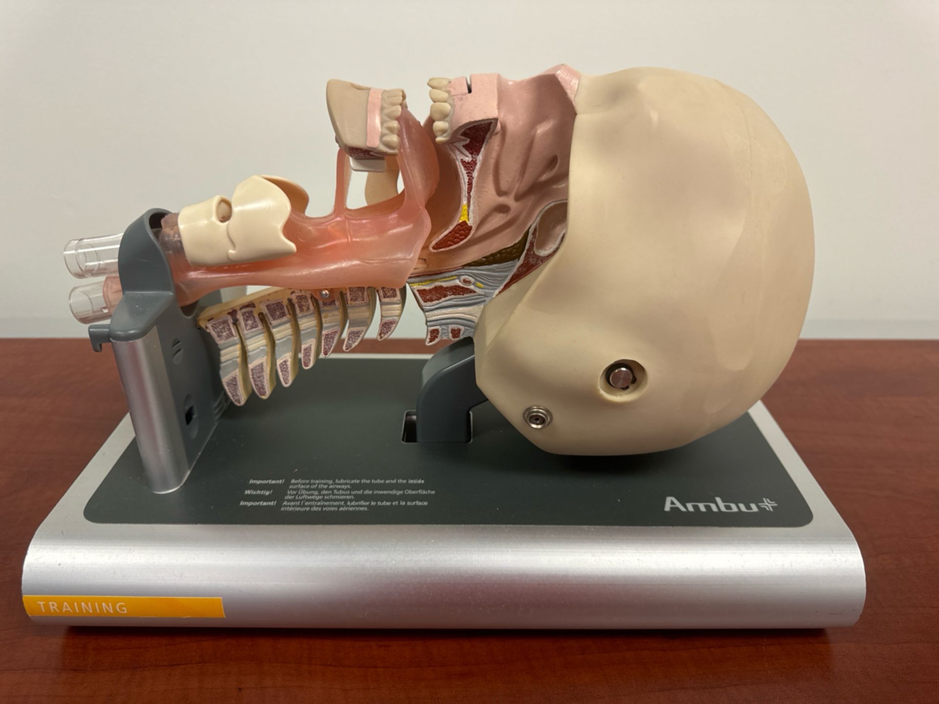 Ambu Medical Training Mannequin Head w/ Sterilization Camera Tray & Camera - Image 2 of 4