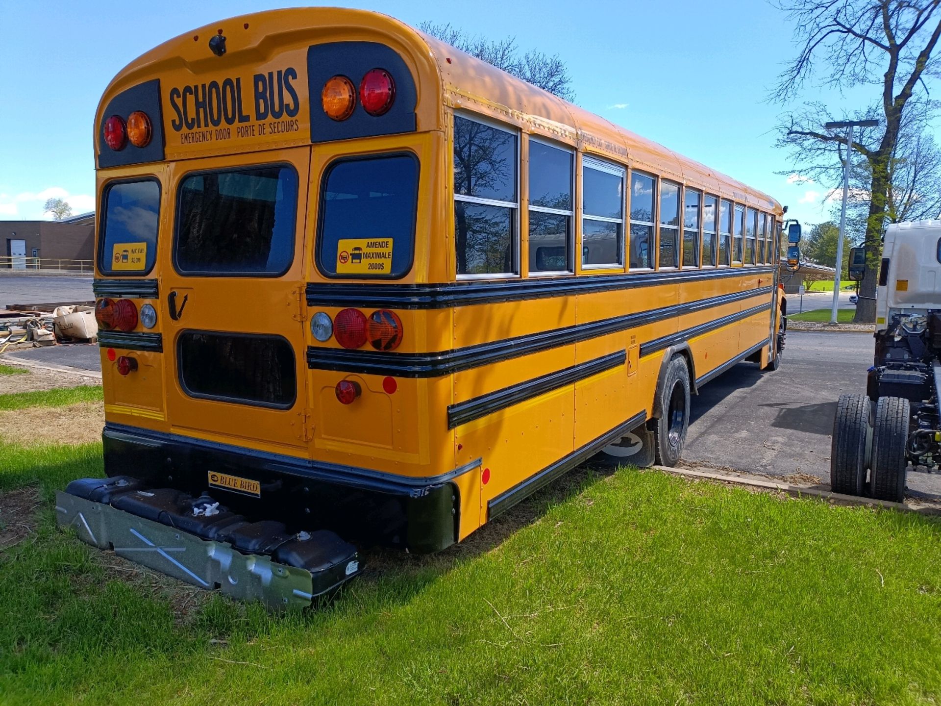 2023 Yellow School Bus-Gas - Image 4 of 11