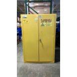 45 Gallon Safety Storage Cabinet