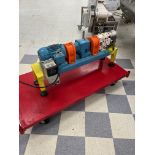 Wrightflow Technologies model 0180 TRA 10 stainless steel positive displacement pump serial number