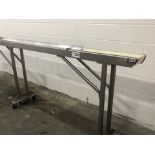 13' SS Conveyor - Stainless steel food-grade conveyor: 157?L x 8?W. Solid belt: 5½”W. Height from