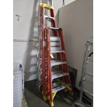 WERNER PROFESSIONAL LADDER 10'