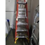 WERNER PROFESSIONAL LADDER 4'