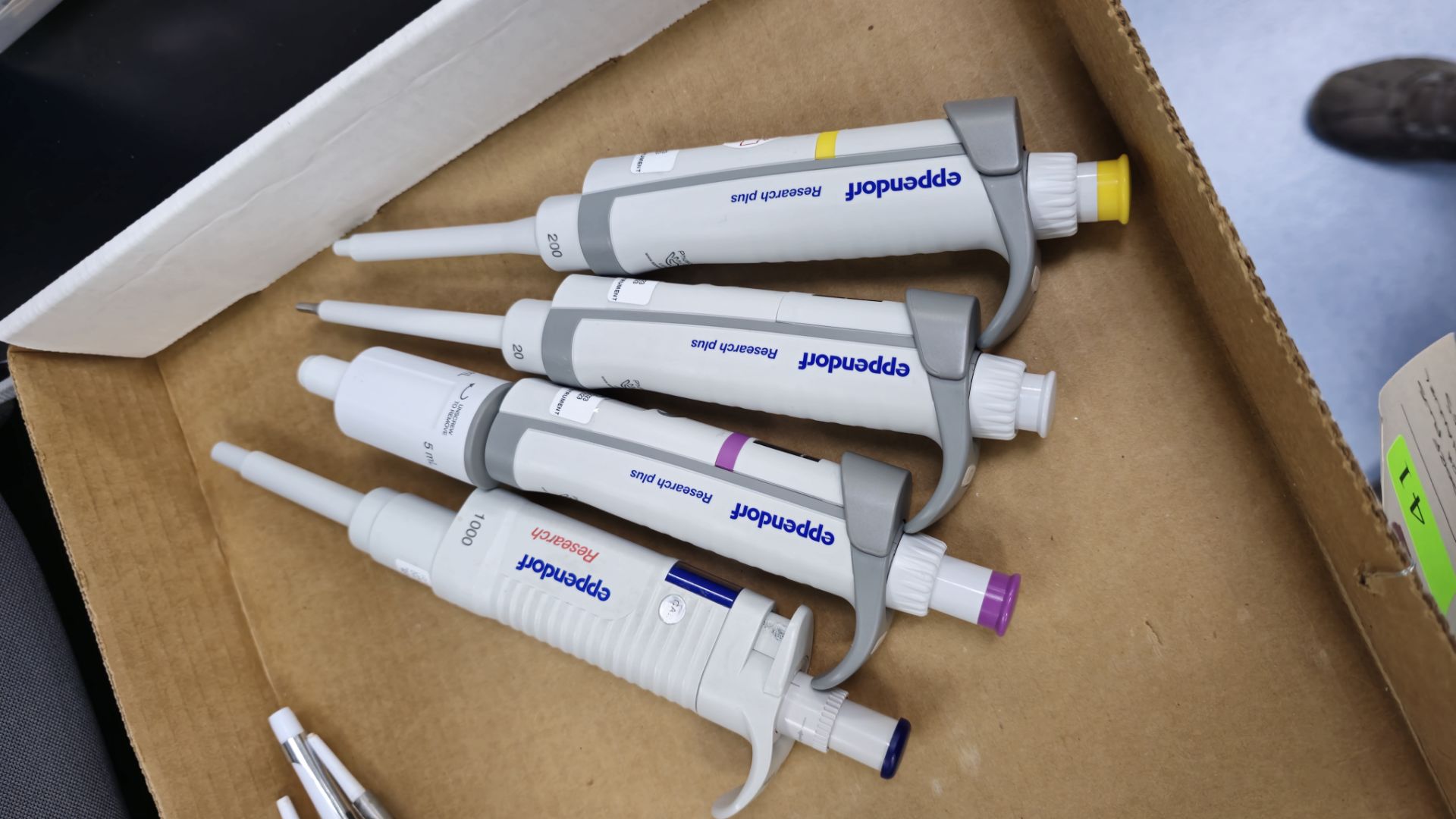 ASST EPPENDORF RESEARCH PLUS SINGLE CHANNEL PIPET - Image 3 of 5