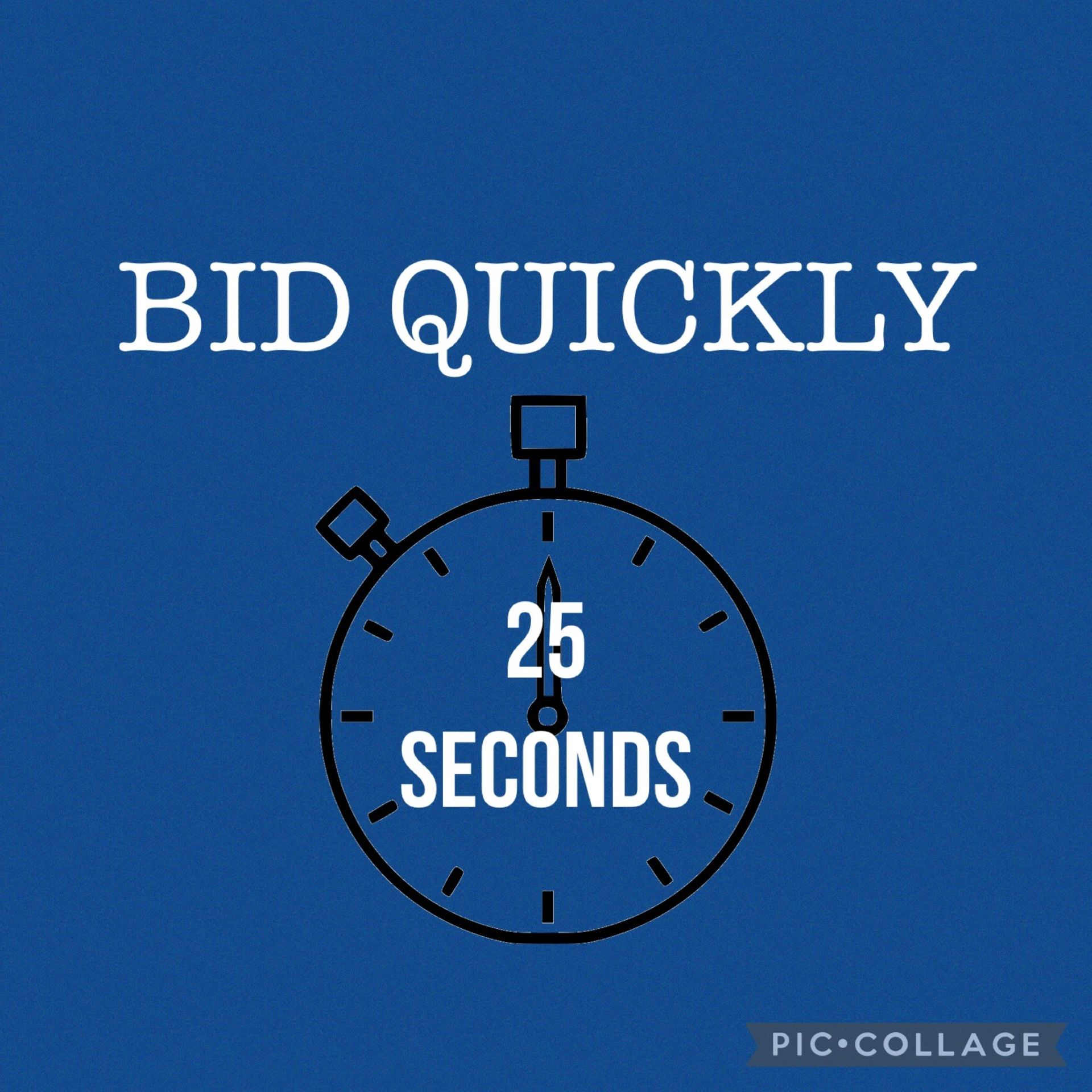 BID QUICKLY, LOTS WILL BE ENDING EVERY 25 SECONDS AT THIS AUCTION!
