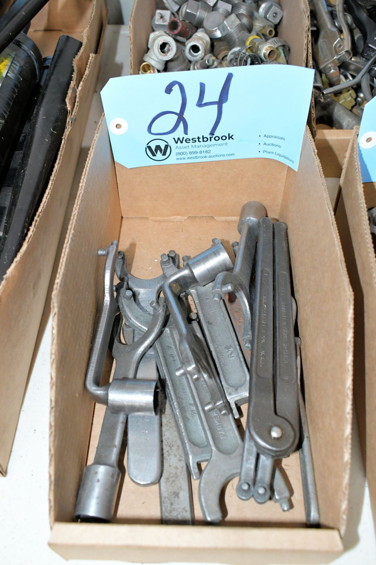 Lot-Various Spanner Wrenches in (1) Box