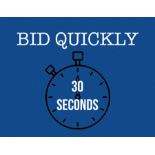 BID QUICKLY, LOTS WILL BE ENDING EVERY 30 SECONDS AT THIS AUCTION!
