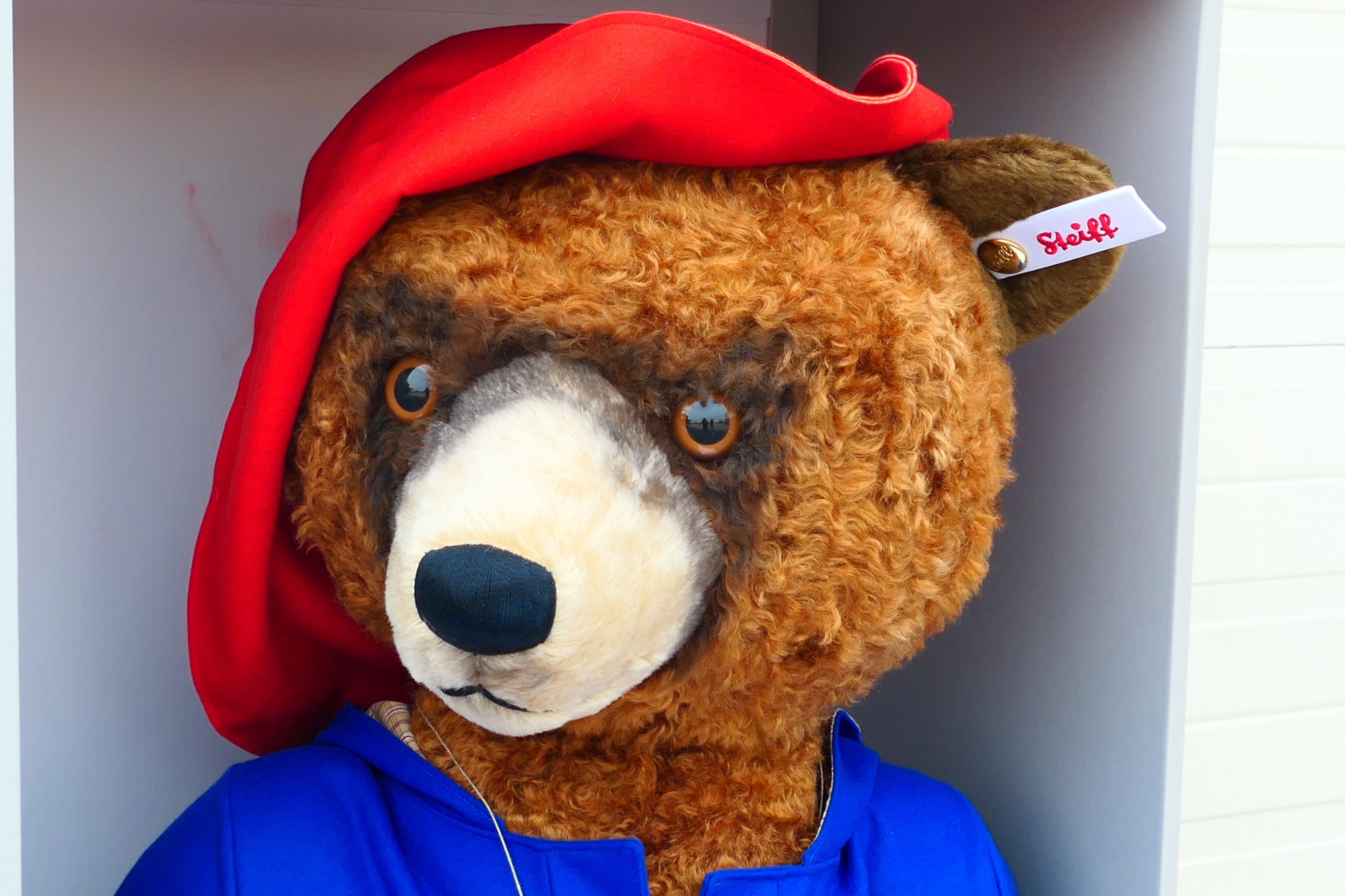 Steiff - A boxed Limited Edition Steiff Paddington (Life Size!!). - Image 4 of 17