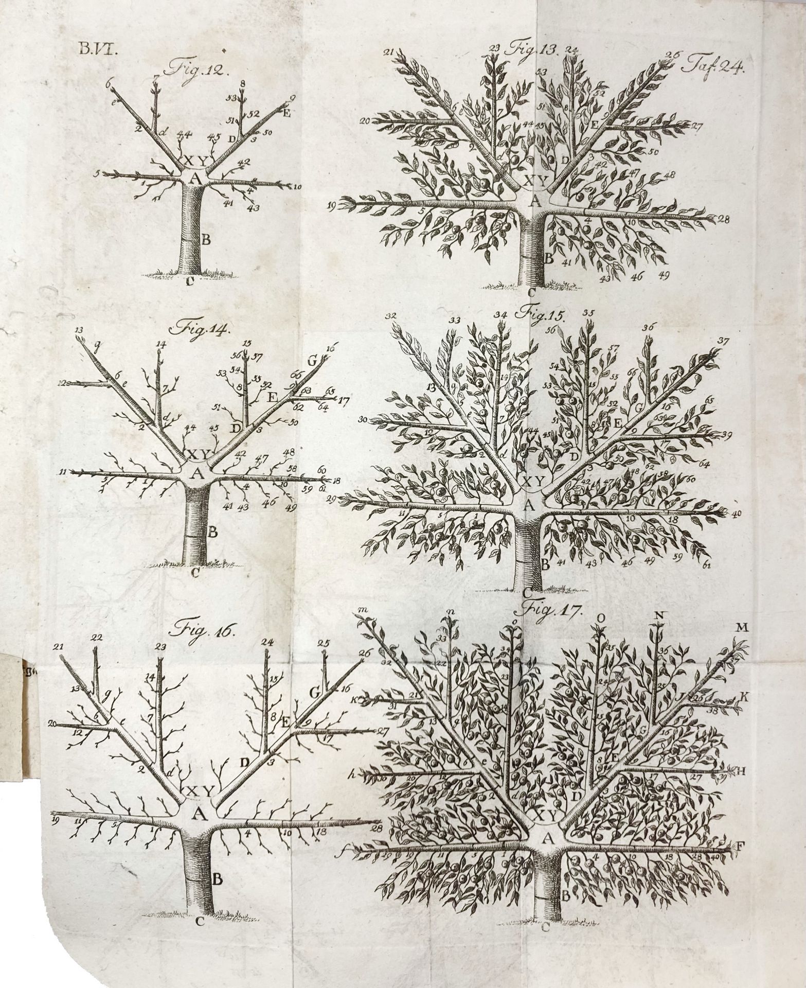 SICKLER, J.V., hrsg. Der teutsche Obstgärtner oder gemeinnütziges Magazin der Obstbaues in - Bild 4 aus 7