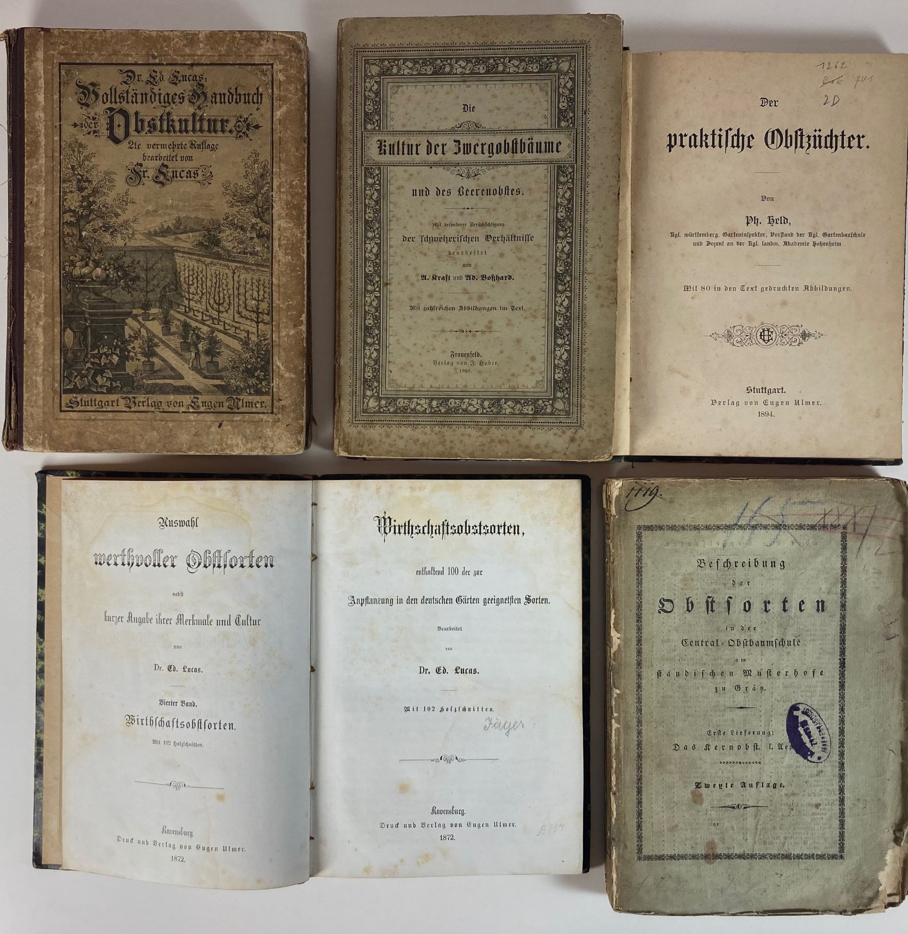 FRUIT GROWING -- LUCAS, Fr. Vollständiges Handbuch der Obstkultur. 2. Aufl. 1887. Or