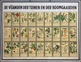 COLLECTION of wall plates for horticultural education, comprising i.a.: "DE BOOMGAARD met