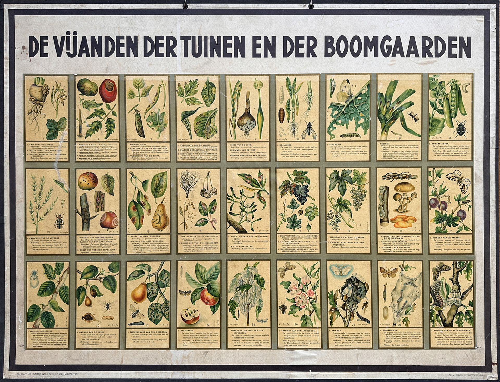 COLLECTION of wall plates for horticultural education, comprising i.a.: "DE BOOMGAARD met