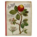 APPLES -- SCHLEYER, A. Der Apfel. Bildliche Darstellung der Blüte, Frucht und übrigen