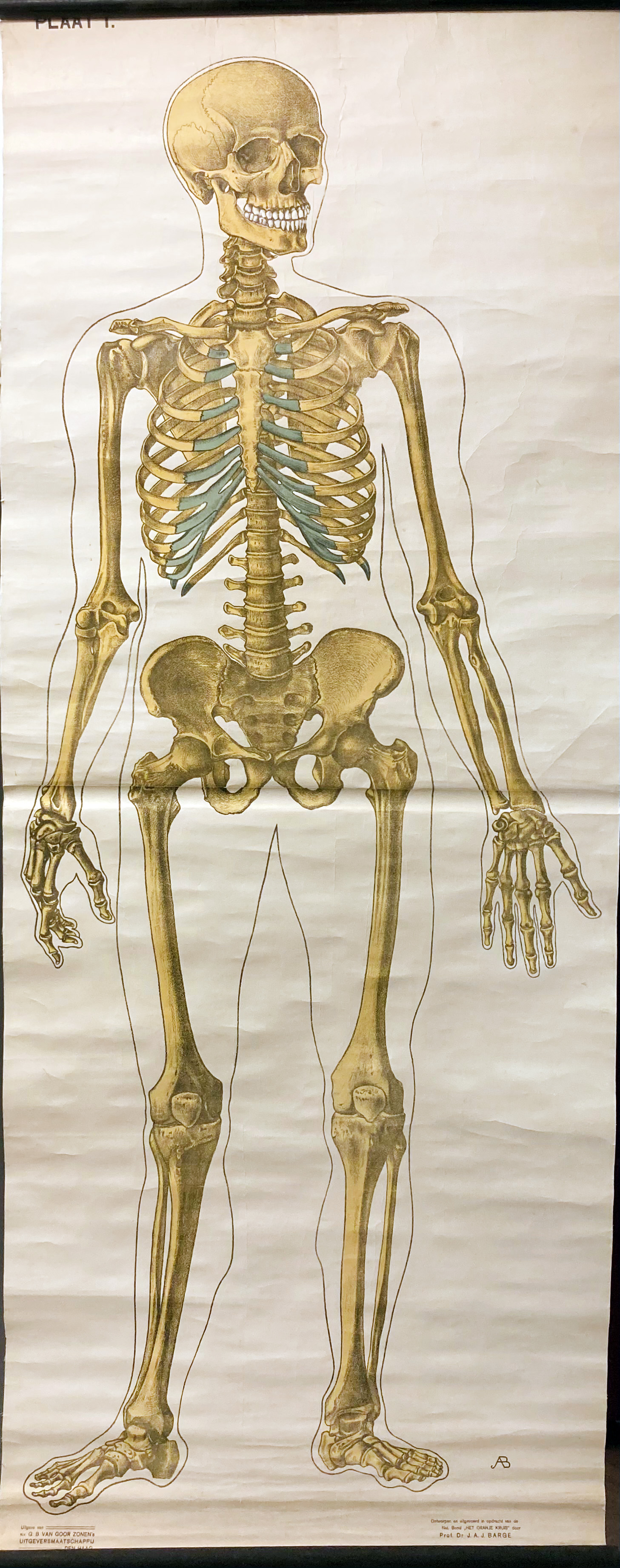 BARGE, J.A. (Anatomical plates of the human body, I-VI (all)). The - Image 2 of 2