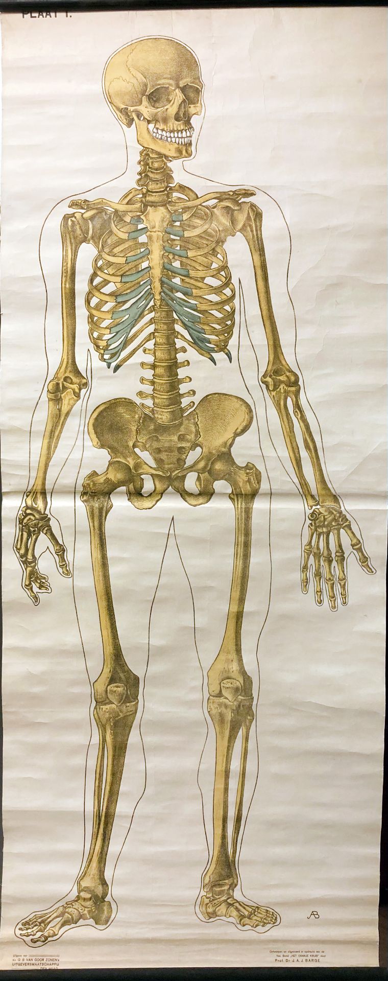 BARGE, J.A. (Anatomical plates of the human body, I-VI (all)). The - Bild 2 aus 2