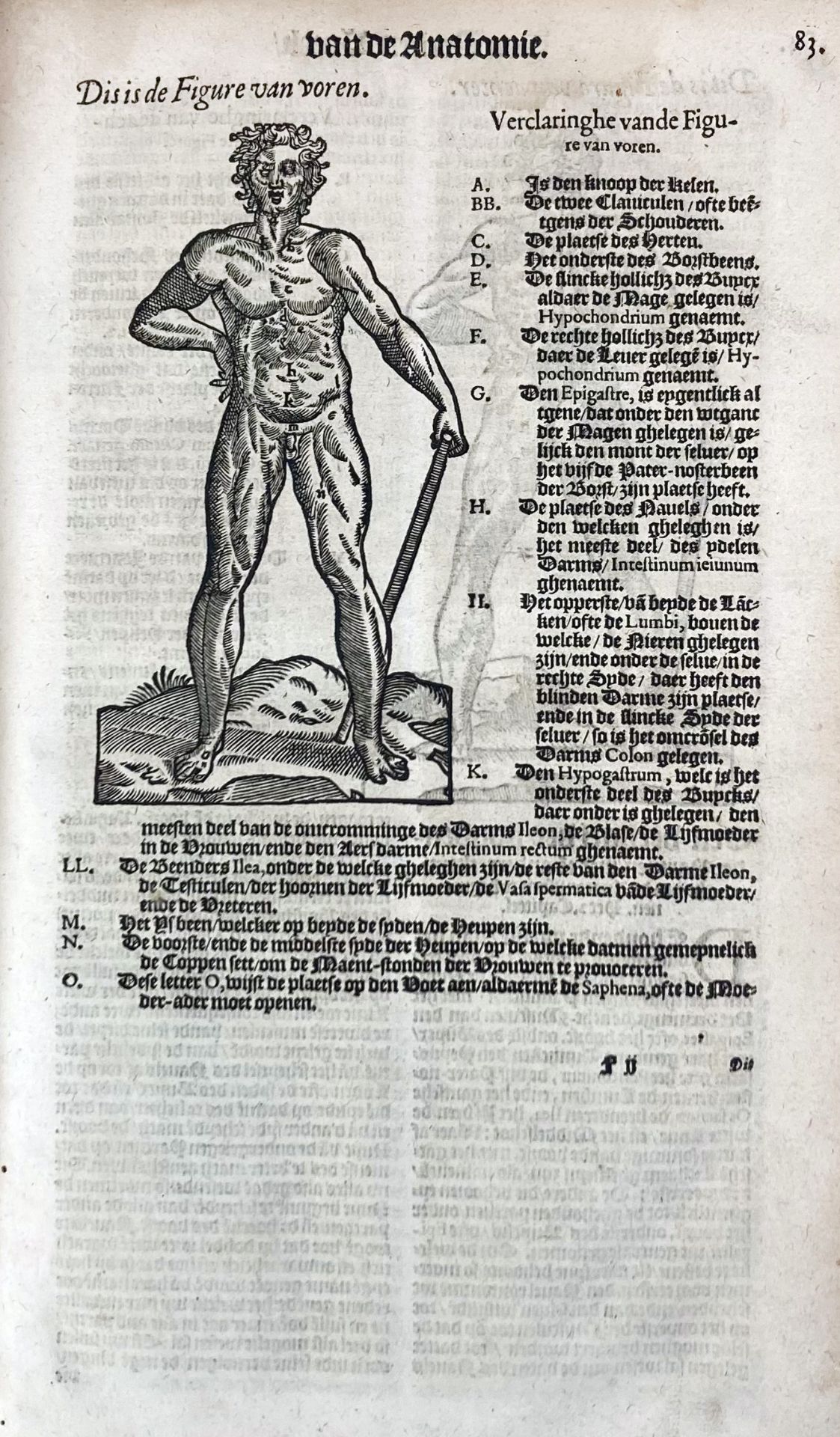 PARÉ, A. De chirurgie, ende alle de opera, ofte wercken (…) uit de - Bild 2 aus 7