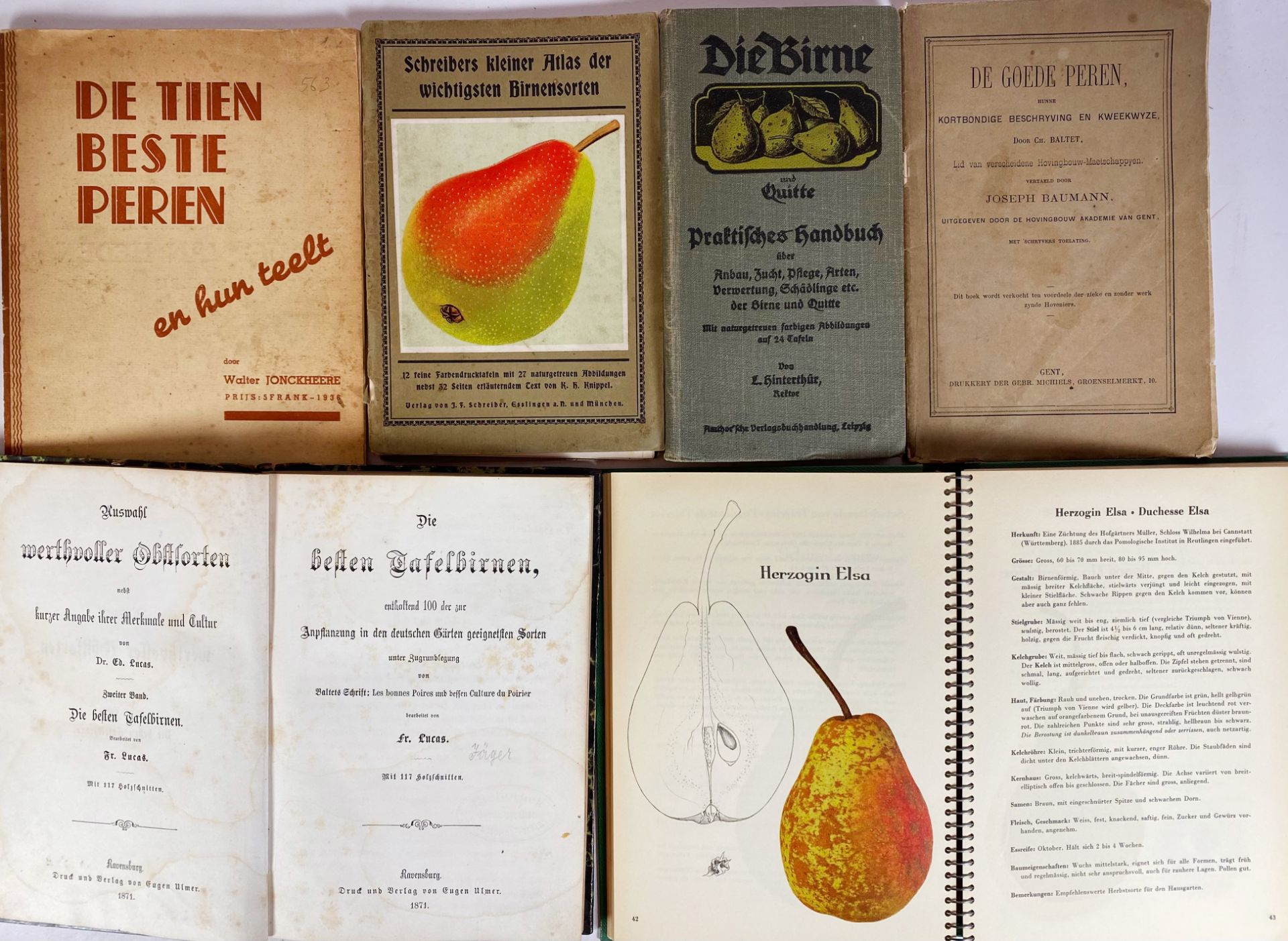 PEARS -- LUCAS, F. Die besten Tafelbirnen, enthaltend 100 der zur Anpflanzung in - Image 2 of 2