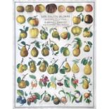 POSTER -- "LES FRUITS DE CHOIX à cultiver dans les Vergers et les