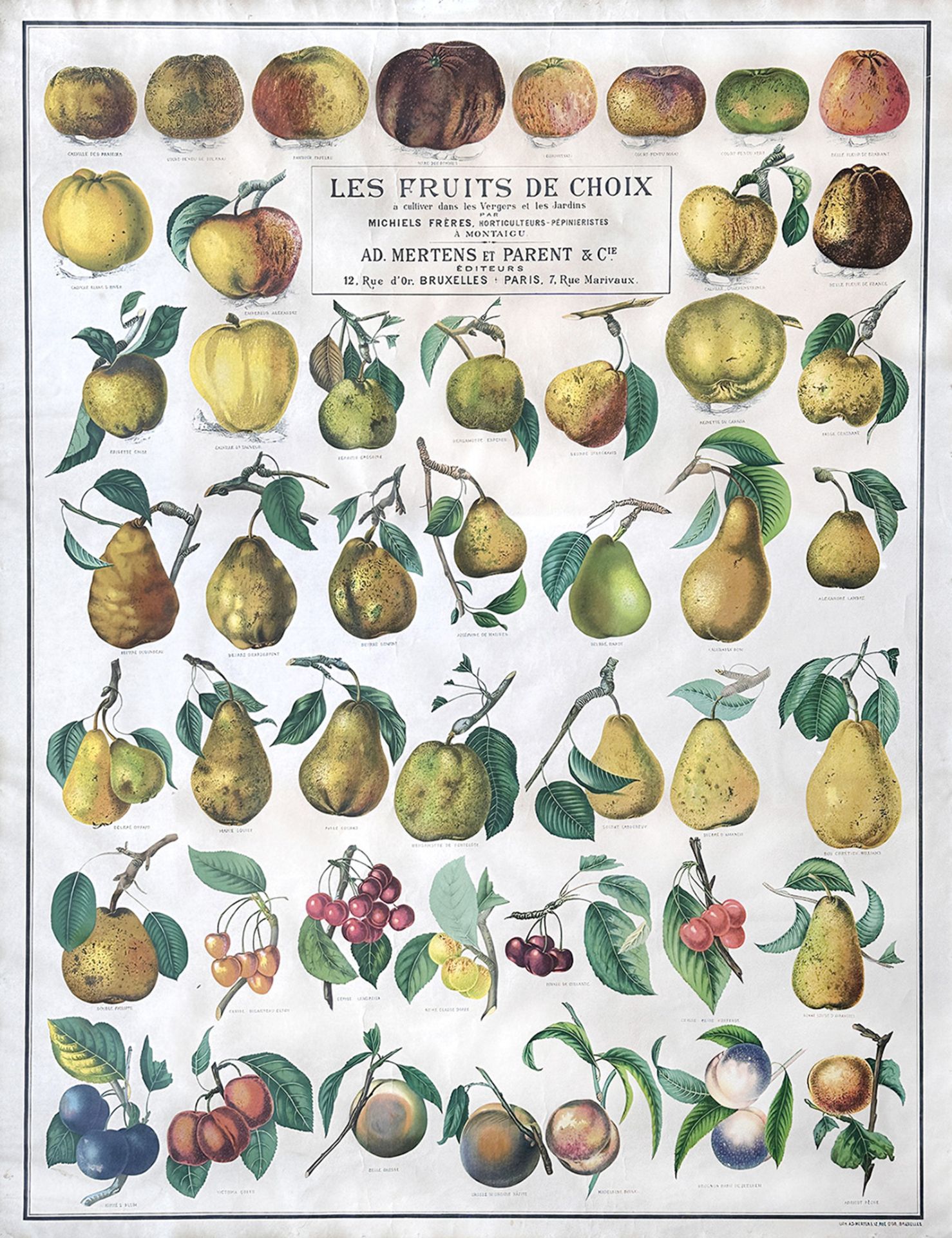 POSTER -- "LES FRUITS DE CHOIX à cultiver dans les Vergers et les