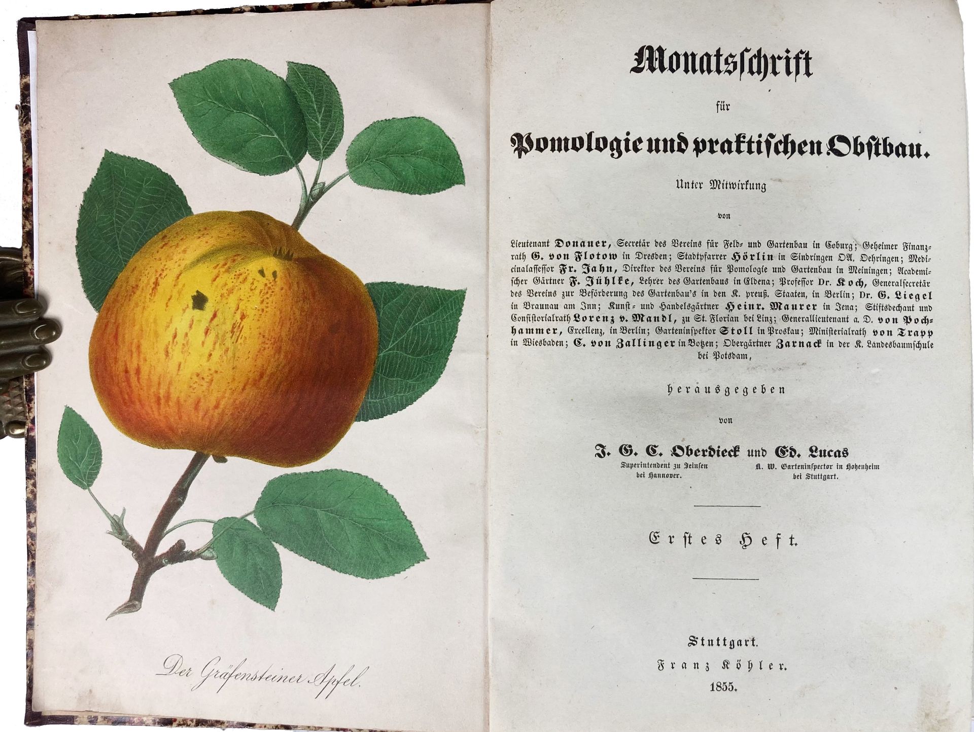 PERIODICALS/ANNUALS -- MONATSCHRIFT für Pomologie und praktischen Obstbau. (Ab 1905:) DEUTSCHE OBSTB - Bild 2 aus 3