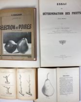 PEARS -- CHASSET, L. Essai de détermination des fruits. (Poires). Villefranche, 1928. W